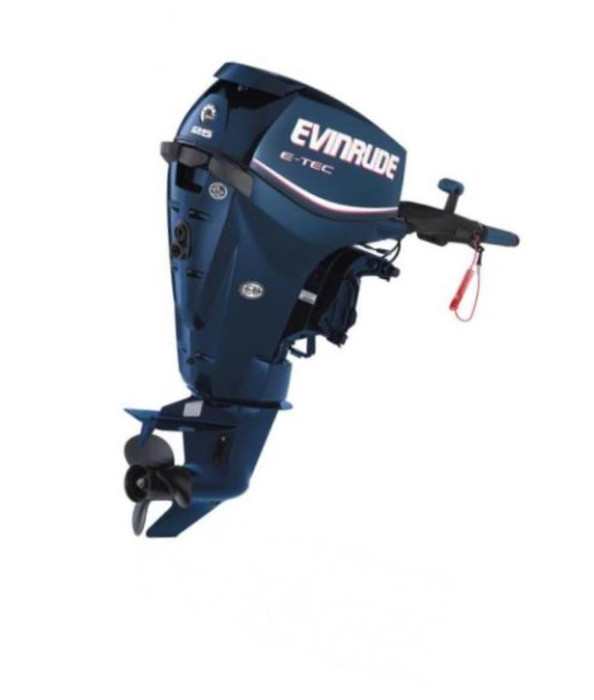 Мотор човновий Evinrude E 25 DR