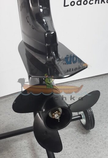 Мотор лодочный Parsun TC5,8BMS