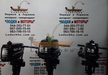 Мотор лодочный Parsun TC5,8BMS